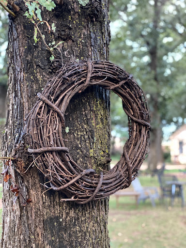 Bar «Fortunata Winery», reviews and photos, 2297 FM2931, Aubrey, TX 76227, USA