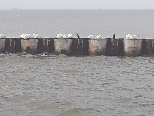 Amusement Park «Galveston Island Historic Pleasure Pier», reviews and photos, 2501 Seawall Blvd, Galveston, TX 77550, USA