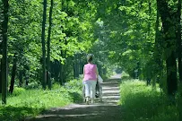 Angel Home Health Care - Car repair in Andover, MA, Lowell - Rated 3.2/5