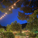 Photo n°2 de l'avis de Beatrice.a fait le 19/07/2022 à 13:32 sur le  Ristorante Terra e Sapori à Forio