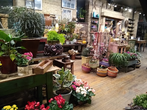 Florist «A New Leaf», reviews and photos, 1645 N Wells St, Chicago, IL 60614, USA