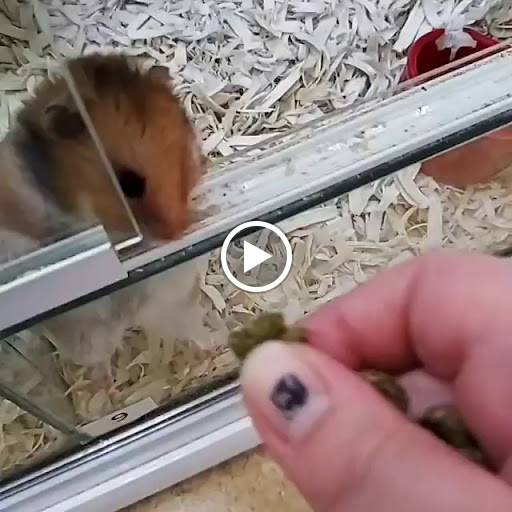 Pet Supply Store «North Tampa PET DEPOT», reviews and photos, 16033 Tampa Palms Blvd W, Tampa, FL 33647, USA