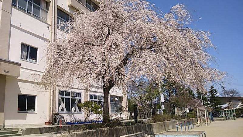 仙台市立金剛沢小学校