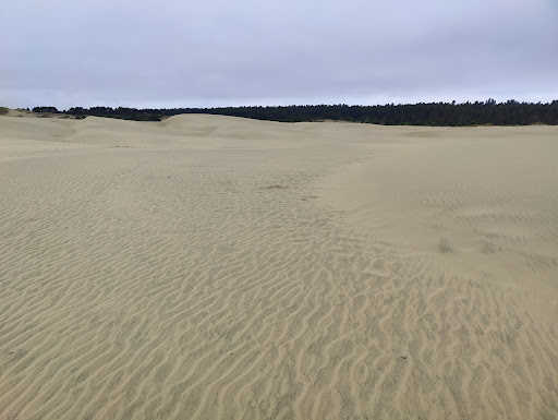 Recreation Center «Sand Master Park - Sandboarding», reviews and photos, 5351 US-101, Florence, OR 97439, USA