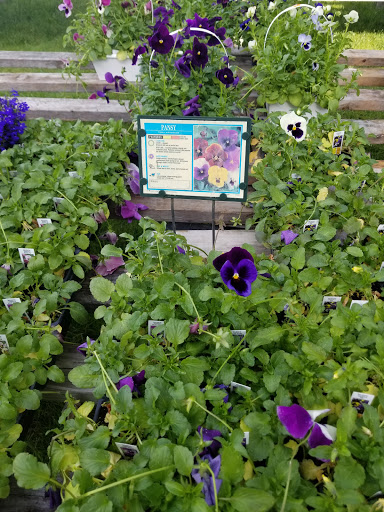 Florist «Lyndhurst Florist», reviews and photos, 5268 Mayfield Rd, Lyndhurst, OH 44124, USA