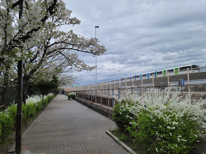 森ヶ崎海岸公園