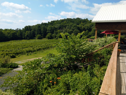 Winery «Falconer Vineyards», reviews and photos, 3572 Old Tyler Rd, Red Wing, MN 55066, USA