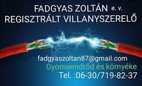 Fadgyas Zoltán