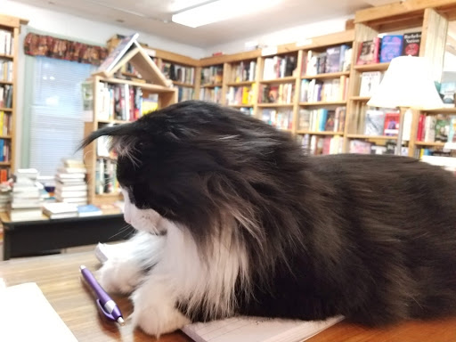 Book Store «Kazoo Books II», reviews and photos, 2413 Parkview Ave, Kalamazoo, MI 49008, USA