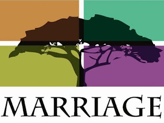 N.E. Institute for Marriage and Family Therapy