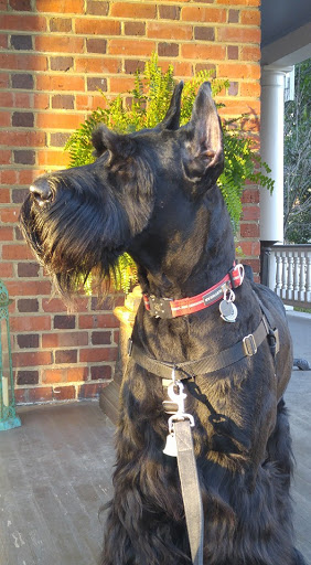 Antique Store «Nest Antique Art and Gifts», reviews and photos, 3404 Semmes Ave, Richmond, VA 23225, USA