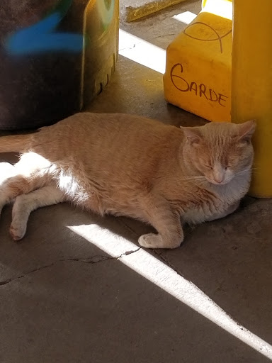 Home Improvement Store «The Home Depot», reviews and photos, 6160 W Behrend Dr, Glendale, AZ 85308, USA