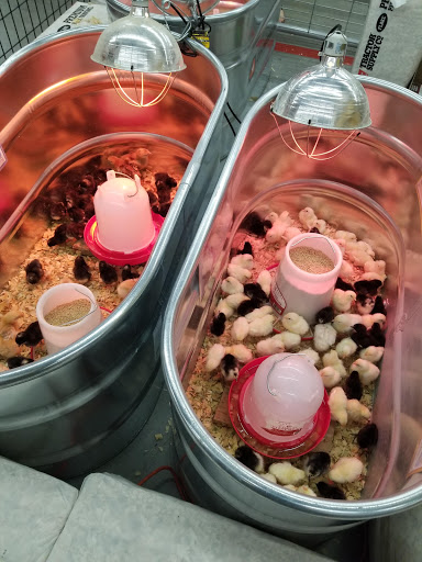 Home Improvement Store «Tractor Supply Co.», reviews and photos, 134 Bridge St, Pelham, NH 03076, USA