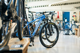 Pronghorn Bikes Middelfart Showroom
