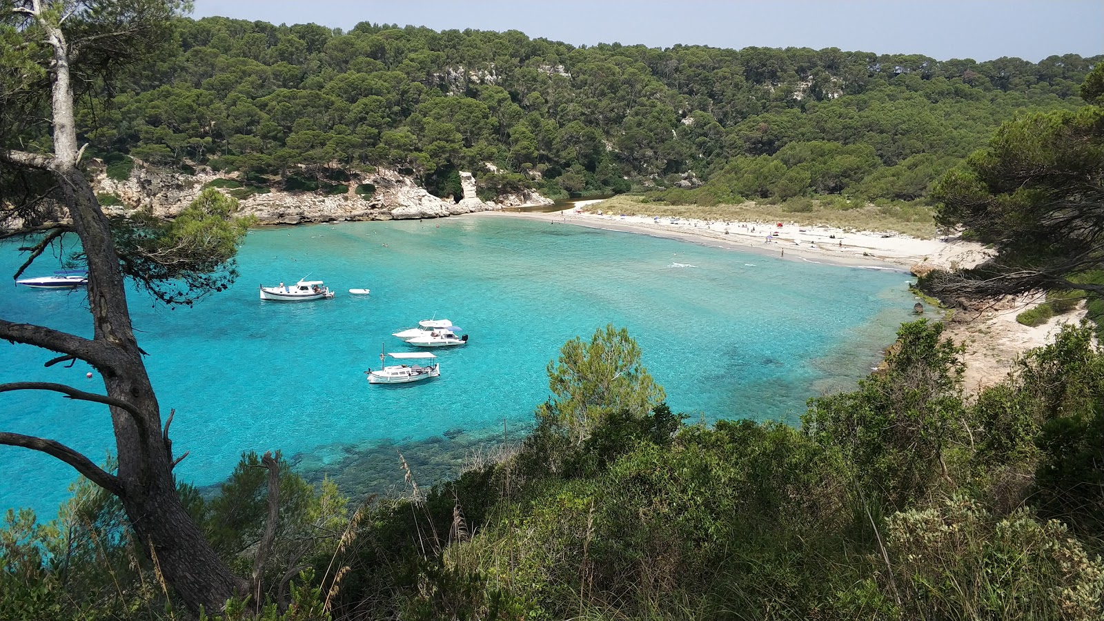 Photo of Cala de Trebaluger with very clean level of cleanliness