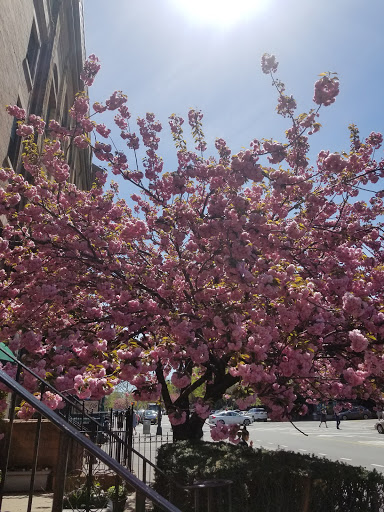 Diner «7th Ave Donuts and Diner», reviews and photos, 324 7th Ave, Brooklyn, NY 11215, USA