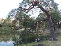 吹上浜