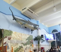 La ANACUA FUNDIDORA photo