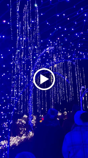 Social Security Attorney «Hankey Law Office», reviews and photos