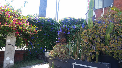 Pet Supply Store «Creative Pet Supply», reviews and photos, 305 N Harbor Blvd, San Pedro, CA 90731, USA