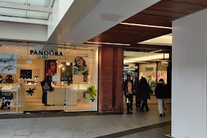 Pandora Ealing image