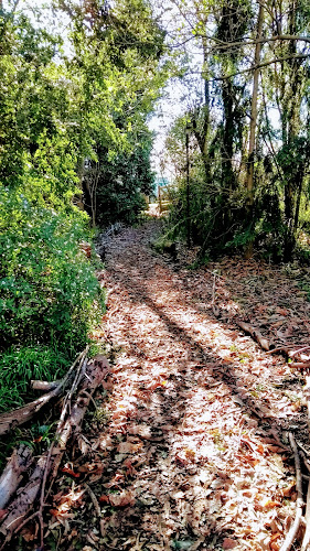 Colegio Camilo Henríquez, G283 - Escuela