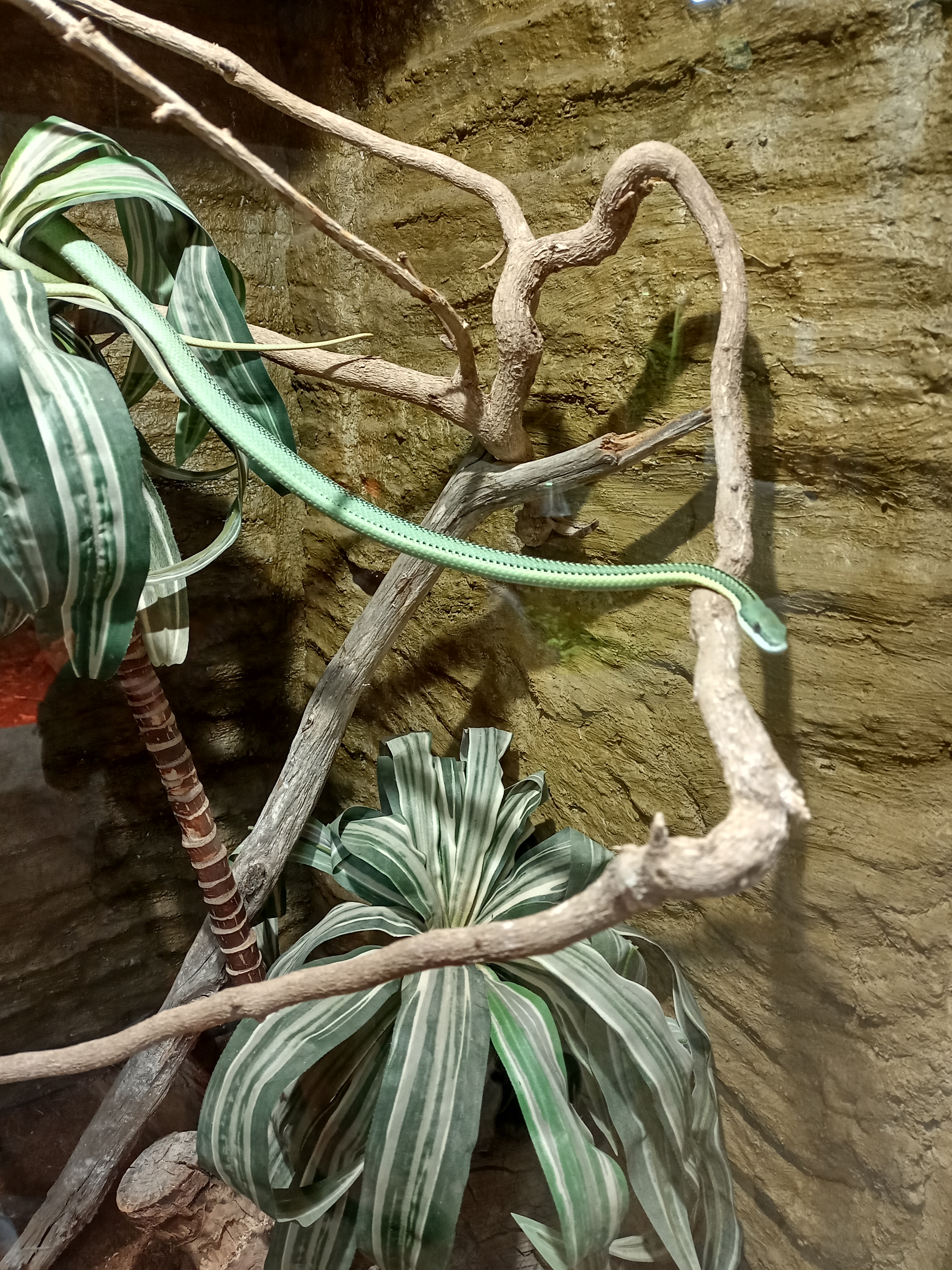 Photo n° 8 de l'avis de Céline. fait le 19/10/2022 à 19:46