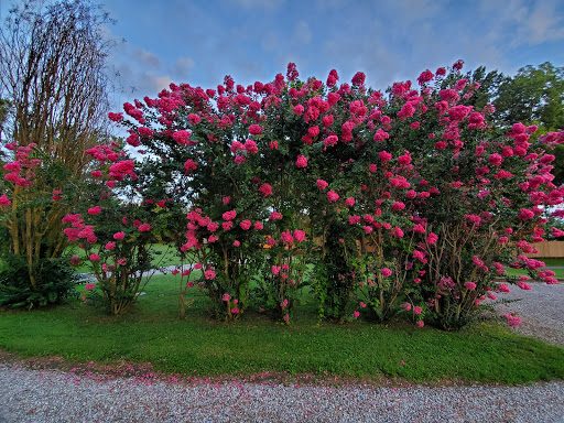 RV Park «Clarksville R.V. Park and Campground», reviews and photos, 1270 Tylertown Rd, Clarksville, TN 37040, USA