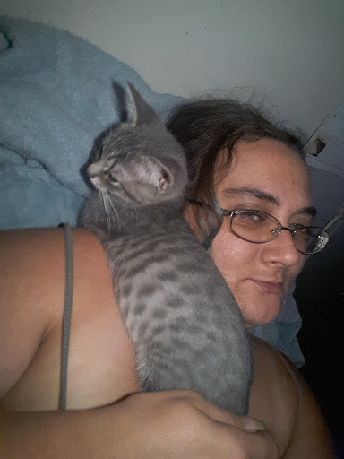 Pet Store «Animal House», reviews and photos, 7869 Hamilton Ave, Cincinnati, OH 45231, USA