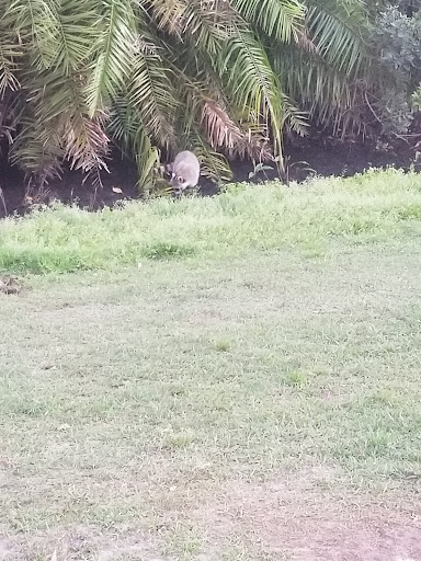 Golf Club «Manatee County Golf Course», reviews and photos, 6415 53rd Ave W, Bradenton, FL 34210, USA