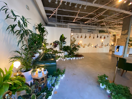 Florist «Ampersand», reviews and photos, 80 Albion St, San Francisco, CA 94103, USA