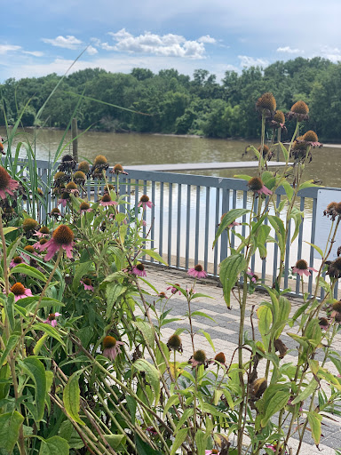 Boat Ramp «Bladensburg Waterfront Park», reviews and photos, 4601 Annapolis Rd, Bladensburg, MD 20710, USA