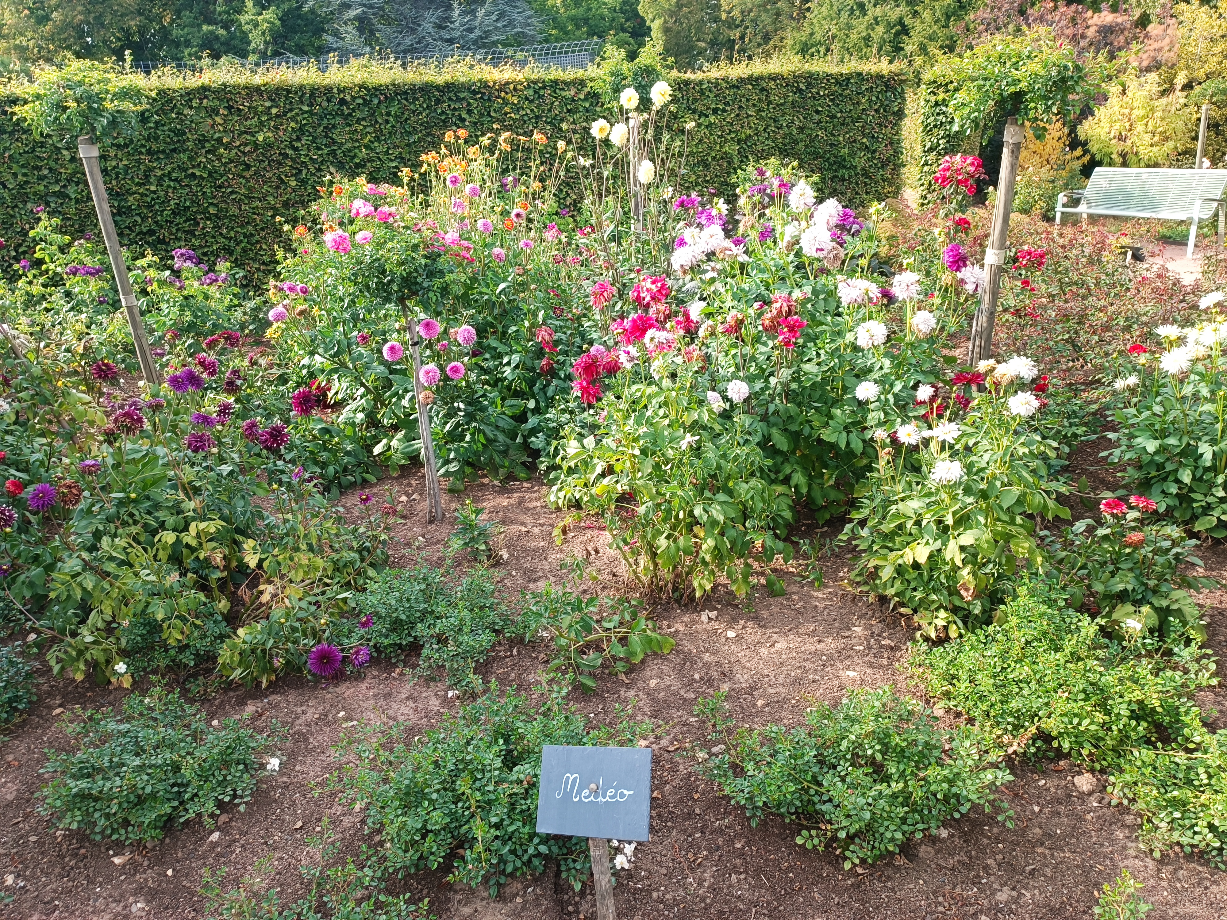 Photo n° 5 de l'avis de Henri-Victor.a fait le 16/08/2022 à 11:29