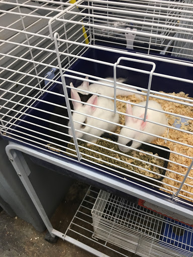 Pet Store «El Granero Pet Shop», reviews and photos, 15700 Atlantic Ave, Compton, CA 90221, USA