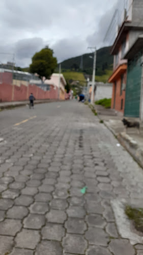 Opiniones de Escuela Ernesto Che Guevara - Manuelita Saenz Quito en Quito - Escuela
