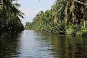 Muthurajawela Visitor Centre මුතුරාජවෙල පරිසර කේන්ද්‍රය image