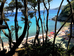 Spiaggia della Paolina'in fotoğrafı çok temiz temizlik seviyesi ile