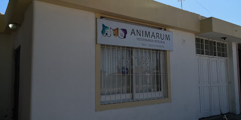 Veterinaria Animarum