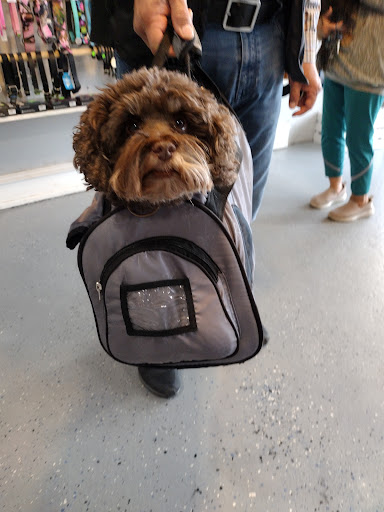 Pet Supply Store «The Dog House», reviews and photos, 4237 S Alameda St, Corpus Christi, TX 78412, USA