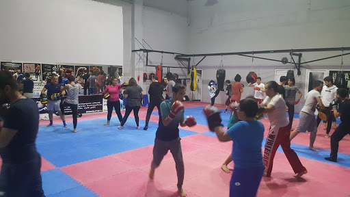 Judo Okulu Ankara