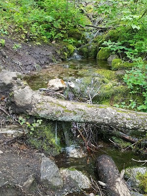 Mickinnick Trail Head 13 - photo 16