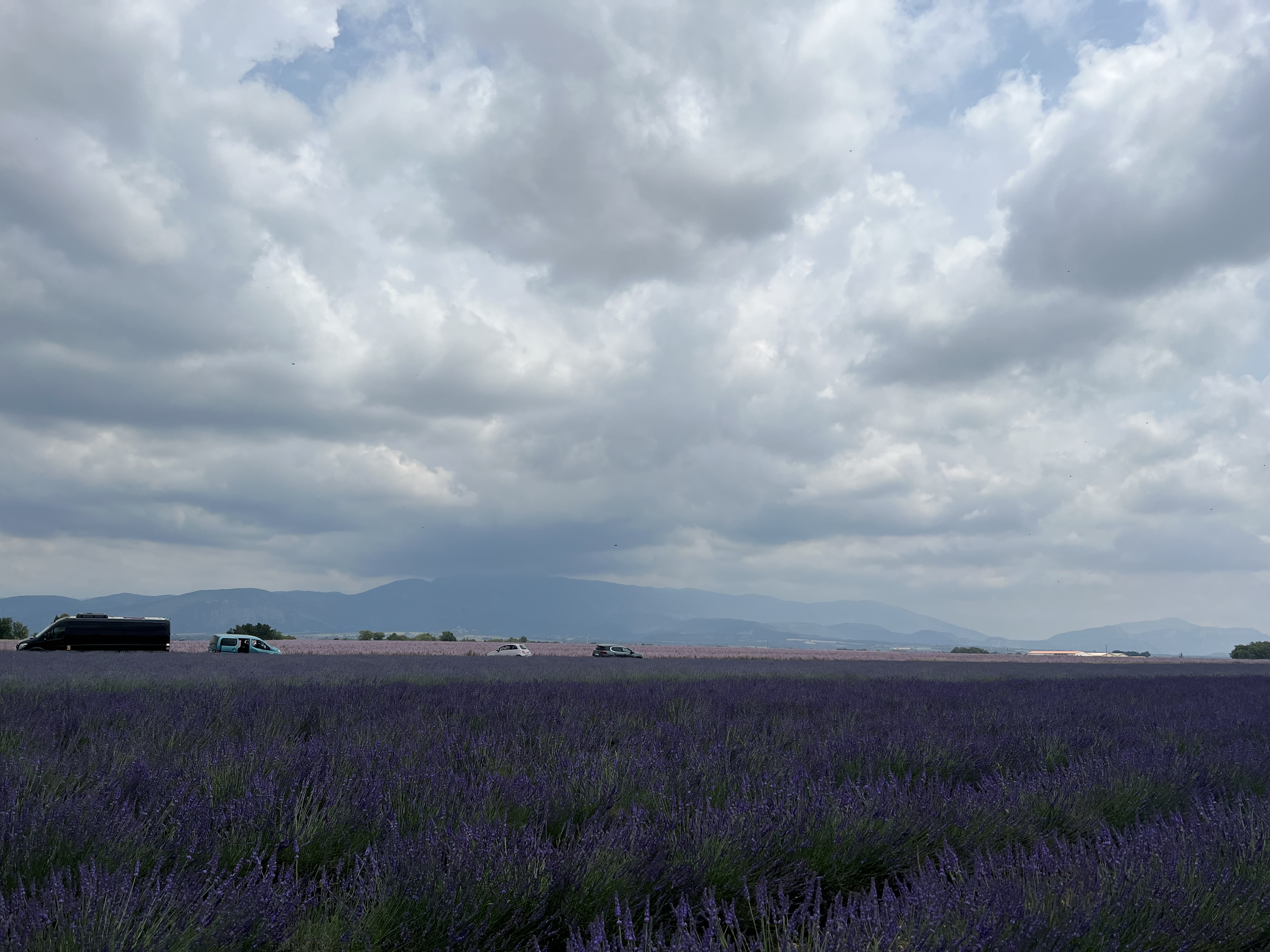 Photo n° 2 de l'avis de Heyi.a fait le 05/07/2023 à 17:48