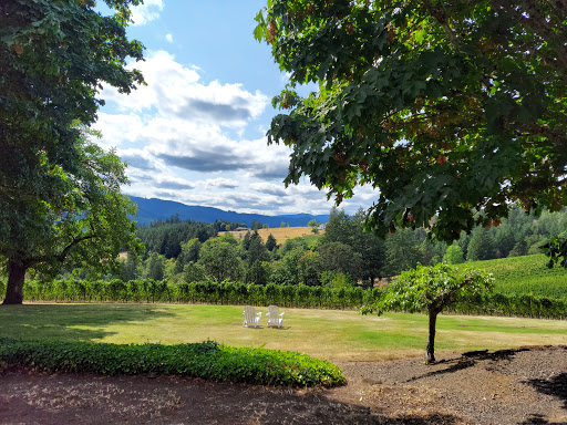 Winery «David Hill Vineyards & Winery», reviews and photos, 46350 NW David Hill Rd, Forest Grove, OR 97116, USA