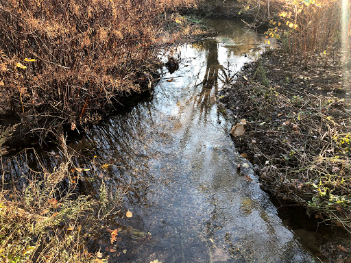 Nature Preserve «Brookside Preserve», reviews and photos, N Brookside Ave, Roosevelt, NY 11575, USA