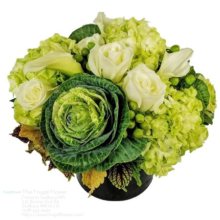 Florist «The Frugal Flower», reviews and photos, 736 Boston Post Rd, Sudbury, MA 01776, USA