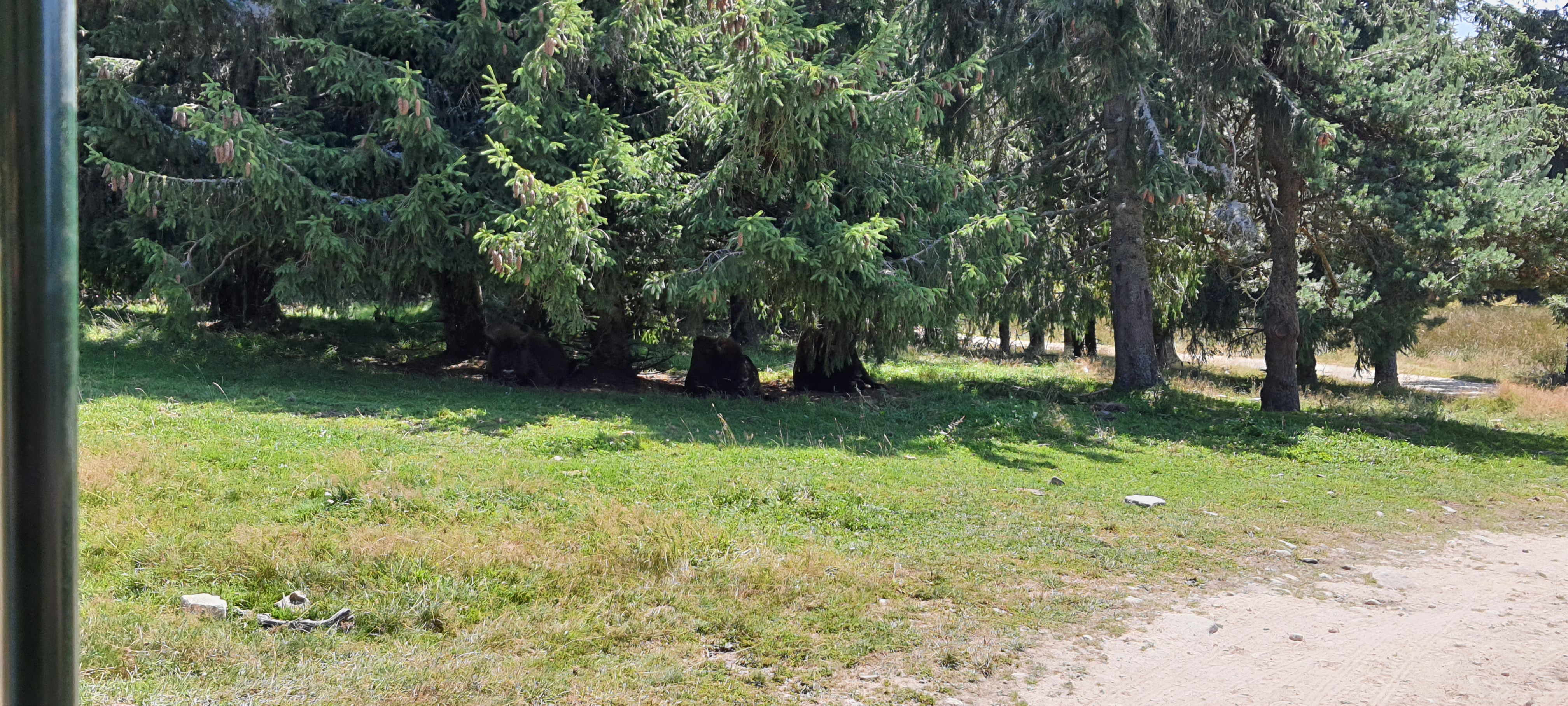 Photo n° 12 de l'avis de Benjamin.o fait le 22/08/2021 à 17:09