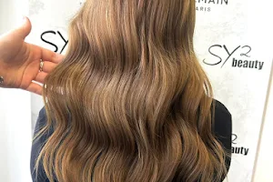 SY1 Hair image
