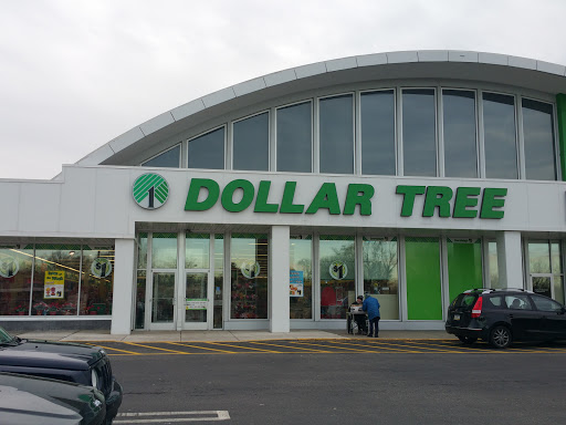 Dollar Store «Dollar Tree», reviews and photos, 1245 MacDade Boulevard, Woodlyn, PA 19094, USA