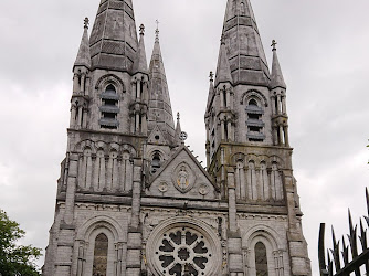 Saint Fin Barre's Cathedral