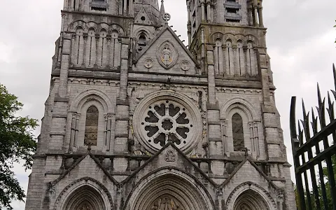 Saint Fin Barre's Cathedral image